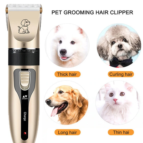 🐾 PetFresh™ Pro Groom Kit